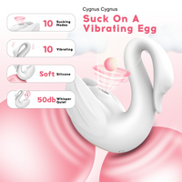 Wearable Vibrator 10 Modes Hands-Free Silicone USB Rechargeable for Women