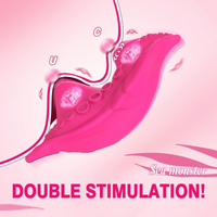 App Remote Control Wearable Panty Vibrator Egg USB Rechargeable for Women
