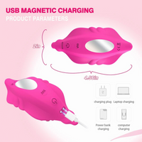 App Remote Control Wearable Panty Vibrator Egg USB Rechargeable for Women