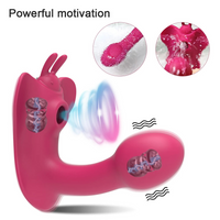 Wearable G-Spot Vibrator 10 Modes Remote Control IPX6 Silicone for Women